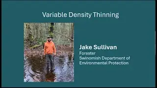 Variable Density Thinning