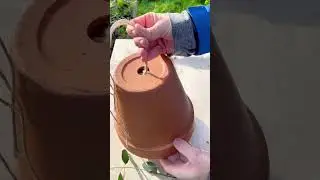 Mangeoire pour oiseaux