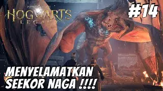Mengejar Waktu Sebelum Para Goblin Merebut Dark Magic Berbahaya - Hogwarts Legacy Indonesia #14