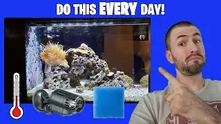 Owning A Fish Tank - Daily Routine! (Fresh OR Salt!)