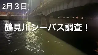 【鶴見川】2月３日鶴見川シーバス調査