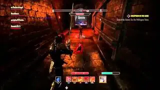 Elder Scrolls Online Funny Moment!