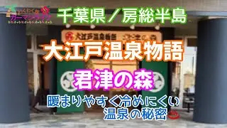 森のリゾートを満喫.:*☆【大江戸温泉物語君津の森】