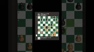 Impressive way to put away your opponent Tillboy! #chess #funchess #chessnerd #followchess