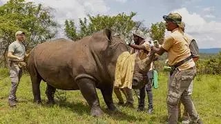 Building the Skills of Wildlife Veterinarians in Rwanda