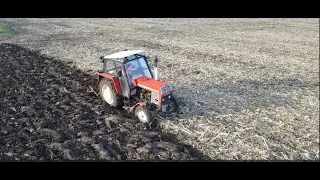 Dalsze orki po kukurydzy, Zdązyć przed deszczem,  Zielony ład nie na nasze Ziemie