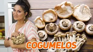 SAIBA TUDO SOBRE OS BENEFÍCIOS DOS COGUMELOS
