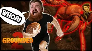 Stealing The Soldier Ant EGG Was Almost IMPOSSIBLE?! | Grounded 2 - Solo, WHOA Difficulty - Part 4