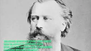 Joh. Brahms, Zigeunerlieder 5  Brauner Bursche