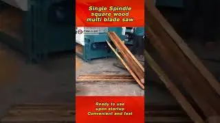 Single Spindle Square Timber Multi Blade Saw