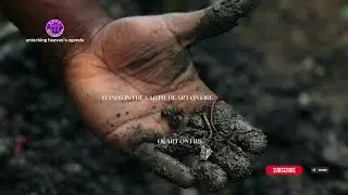 Hands in the Earth, Heart on Fire|  International Volunteer Day |  World Soil Day