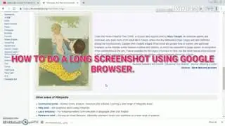 Google chrome screenshot tool | Video tutorial