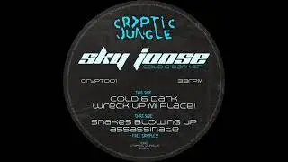 Sky Joose - Snakes Blowing Up (Unreleased)