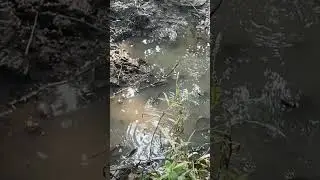 Fishing time