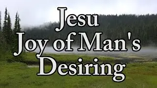 Jesu Joy of Man's Desiring  (J.S. Bach) -  hymn   -  4k video