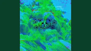 Algae Bloom