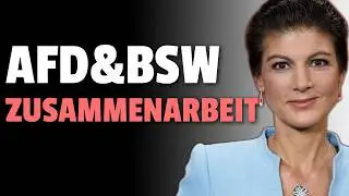 💥AfD und BSW wollen NEUWAHLEN SOFORT: Altparteien STINKSAUER