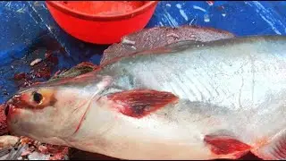Saddam All Fish Cutting Skills | Big Snapper Fish Cutting Skills In Fish Market #fish​ 🐟🔪🐠