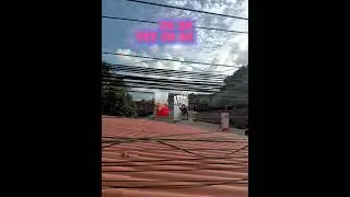 im BLUE da ba de (vers&atilde;o Fred e bolt)
