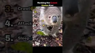 DON'T CHECK THE SOUND😭😭