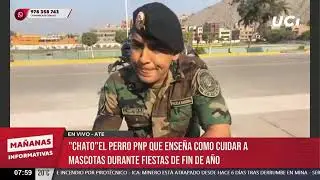 🕑 ¡Lo más tierno! Policía Nacional presentó a 'Chato', que será de gran ayuda para tu mascota