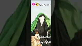قصيده السيدة زينب ع