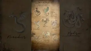 Types Of Dragons | Lore Fragment 3 | Sighted: Sea Serpent
