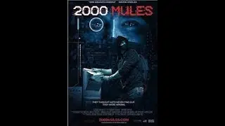 2000mules the thruth about election movie