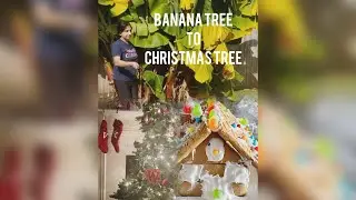 From Backyard Cleanup to Christmas Cheer 🎄 | Banana Tree, Tree Decor & Gingerbread House