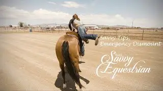 Savvy Tips, Emergency Dismount
