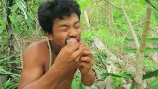 These rare wild fruits are hidden in the mountains! I'm so tempted