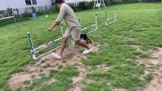 Agility : Serpentine for Janggab 23/07/2022