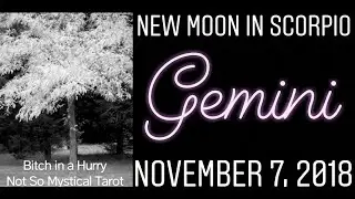 Gemini Sun Moon Rising; New Moon in Scorpio Starting November 7, 2018 - TRANSFORMATION IS YOURS