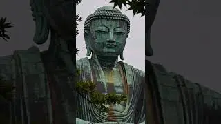 Calm Scenery Break (No Drums Ambient) #shorts  #sleepmusic #nature