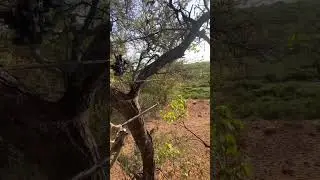 Who wants this view for their next safari? 🏹#africa #bow #hunting #outdoors #archery #safari #hunt