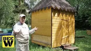 Апидомики 