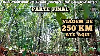 PARTE 6/6 - VIAGEM PARA FLORESTA REMOTA - chegada  no  local  escolhido