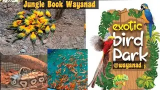 Exotic Birds Park Wayanad | Jungle Book