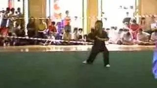 Yanzhen - 5 duan nanquan