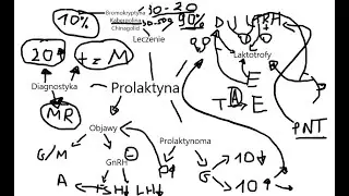 Prolaktyna: Hiperprolaktynemia, Prolaktynoma [W prosty sposób cz.1]