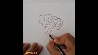 How to draw a crab #crab