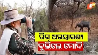 PM Modi Visits Gir National Park on World Wildlife Day