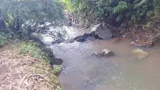 cachoeira1