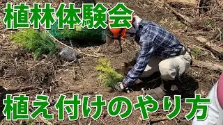 植林体験【植え方・植え付け】NPO法人 森と家を結ぶ会