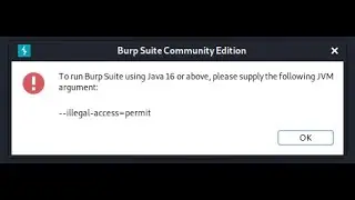 --illegal-acces=permit in burpsuite error after upgrading java in kali linux