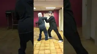 Tai Chi   Application Martiale   Ji   Presser