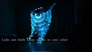 color changing led isis wings designed by Leda Z belly dance dancing costumes