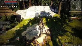 BDO Adventure Log: Learn more about the stump glistening in mystical light in Treant Forest