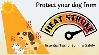 Protect Your Dog from Heat Stroke: Essential Tips for Summer Safety