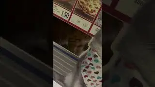 As&iacute; Pirulo maneja su negocio 😼
